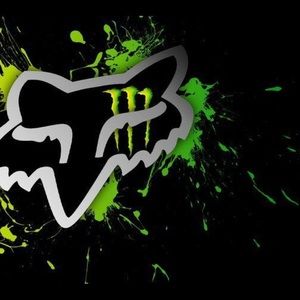 Meet your Posher, Tylor